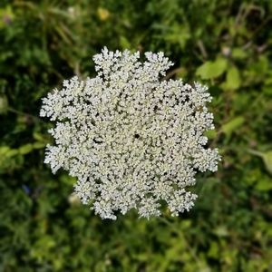 Meet your Posher, Christianna